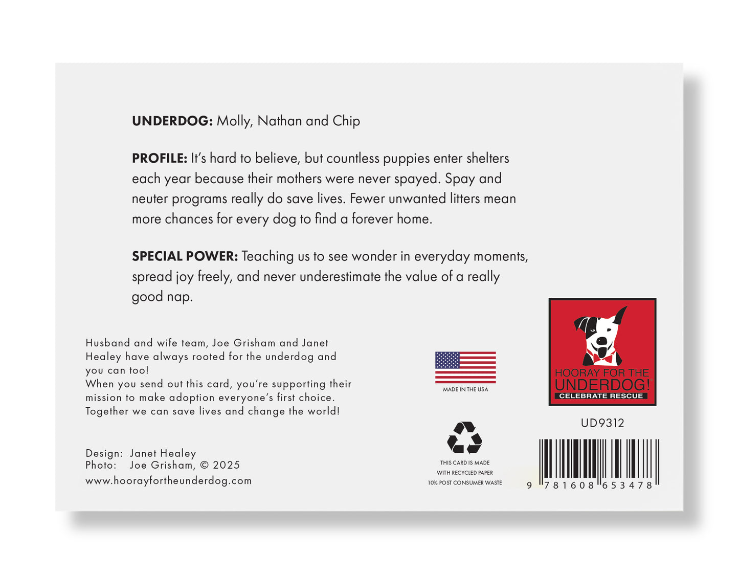 Molly, Nathan and Chip Greeting Card - Holiday 10 Pack