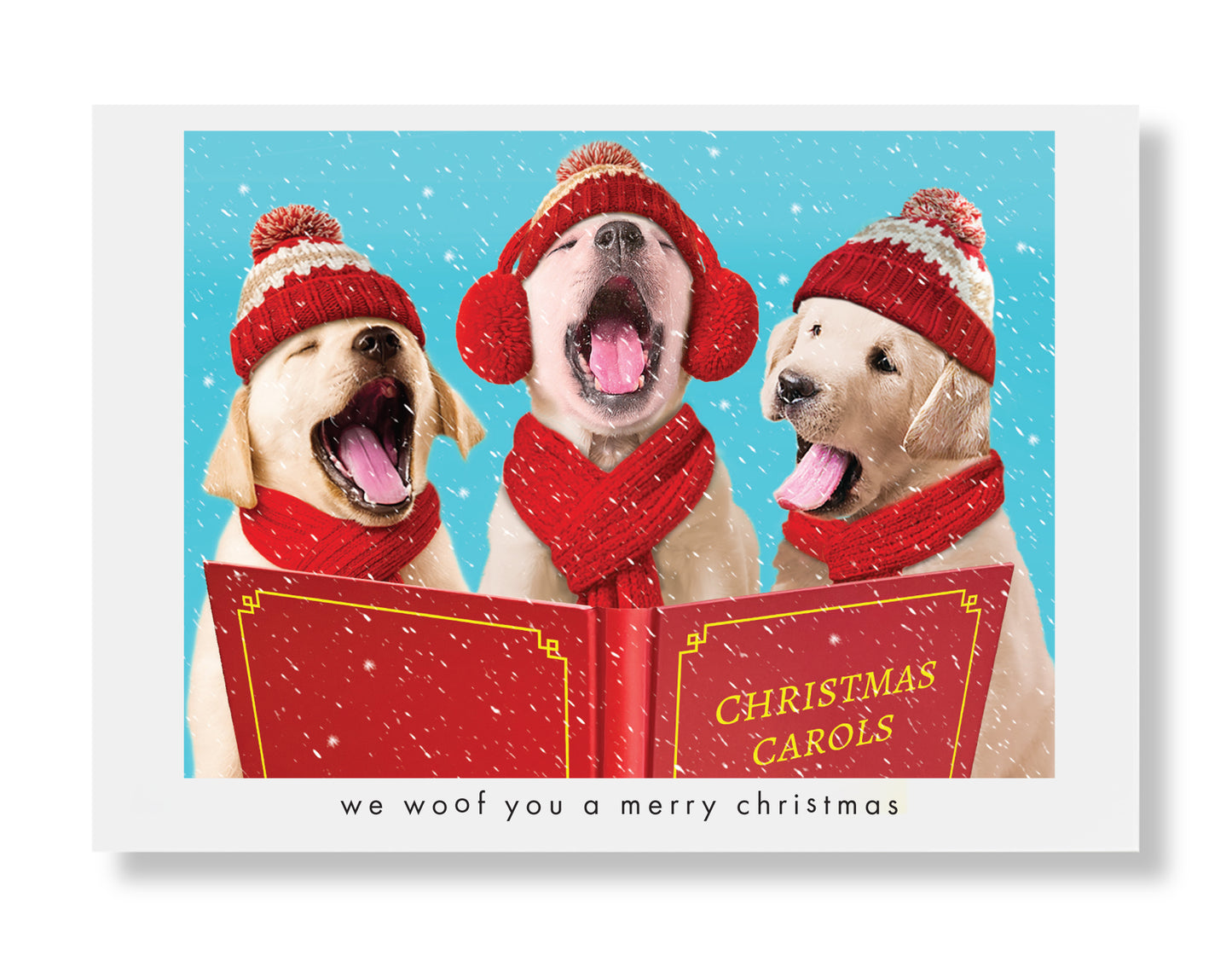 Molly, Nathan and Chip Holiday Greeting Card
