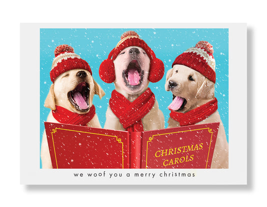 Molly, Nathan and Chip Holiday Greeting Card