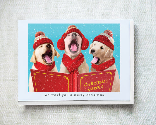 Molly, Nathan and Chip Greeting Card - Holiday 10 Pack
