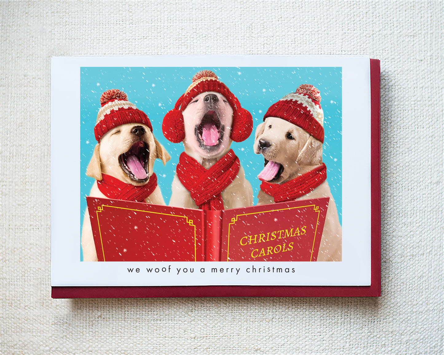 Molly, Nathan and Chip Greeting Card - Holiday 10 Pack