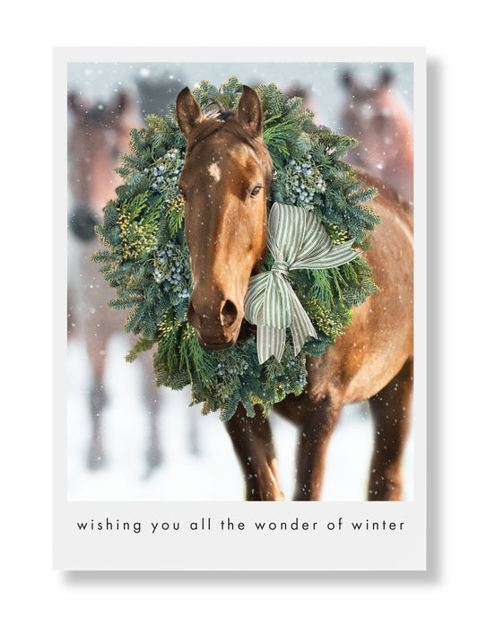 Wild Mustang Holiday Greeting Card