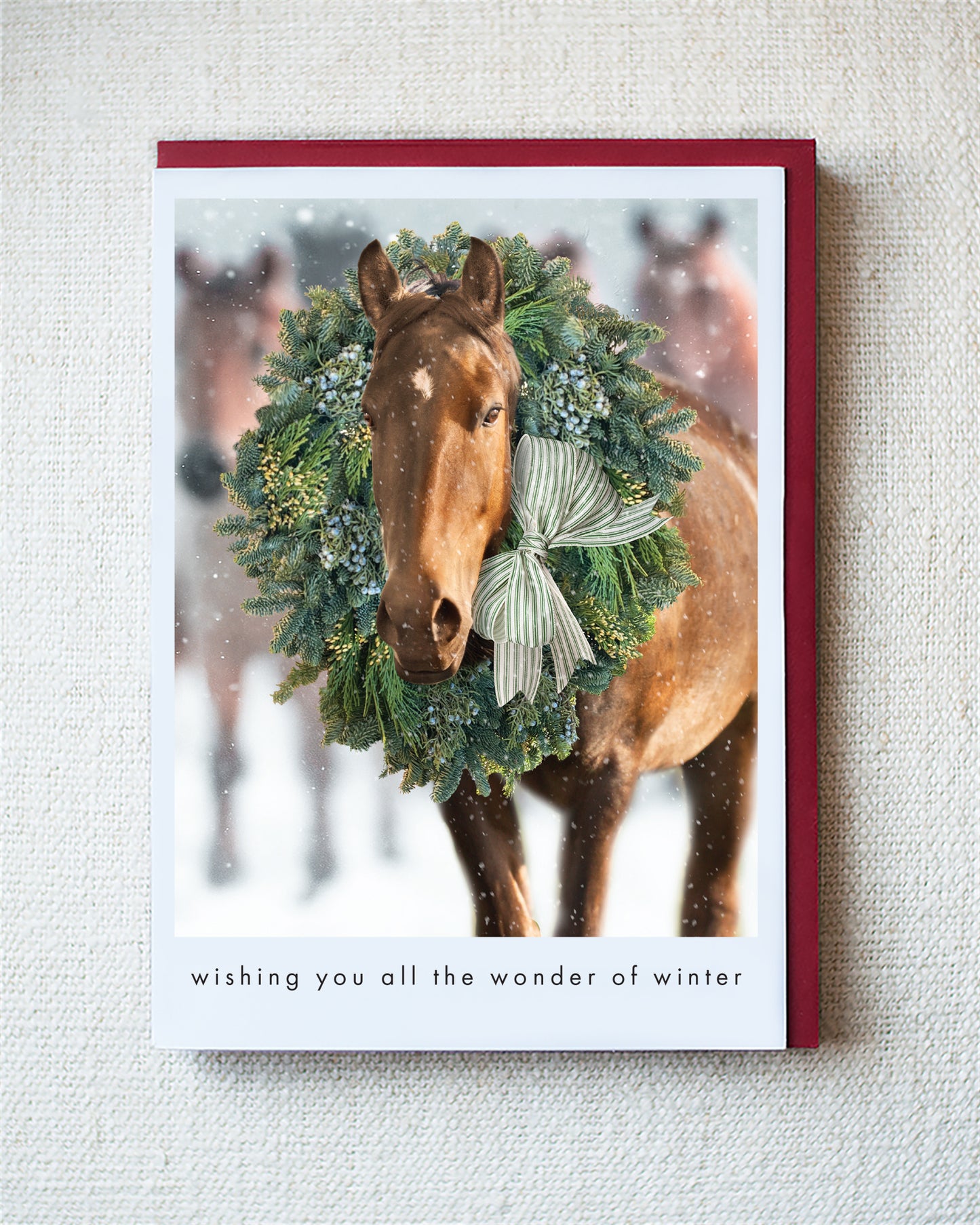 Wild Mustang Greeting Card - Holiday 10 Pack