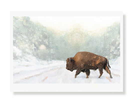 American Bison Holiday Greeting Card