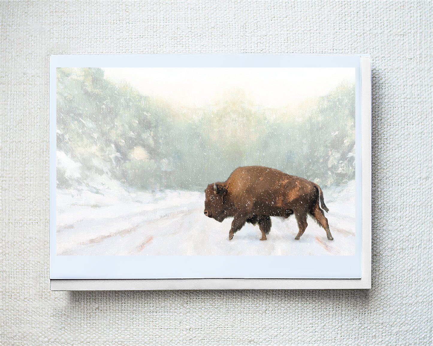 American Bison Greeting Card - Holiday 10 Pack