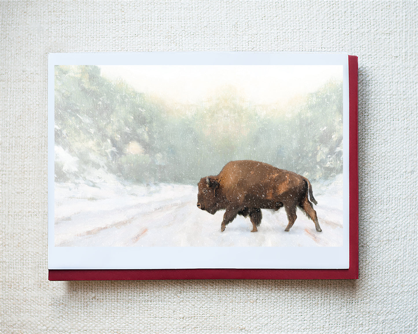 American Bison Greeting Card - Holiday 10 Pack