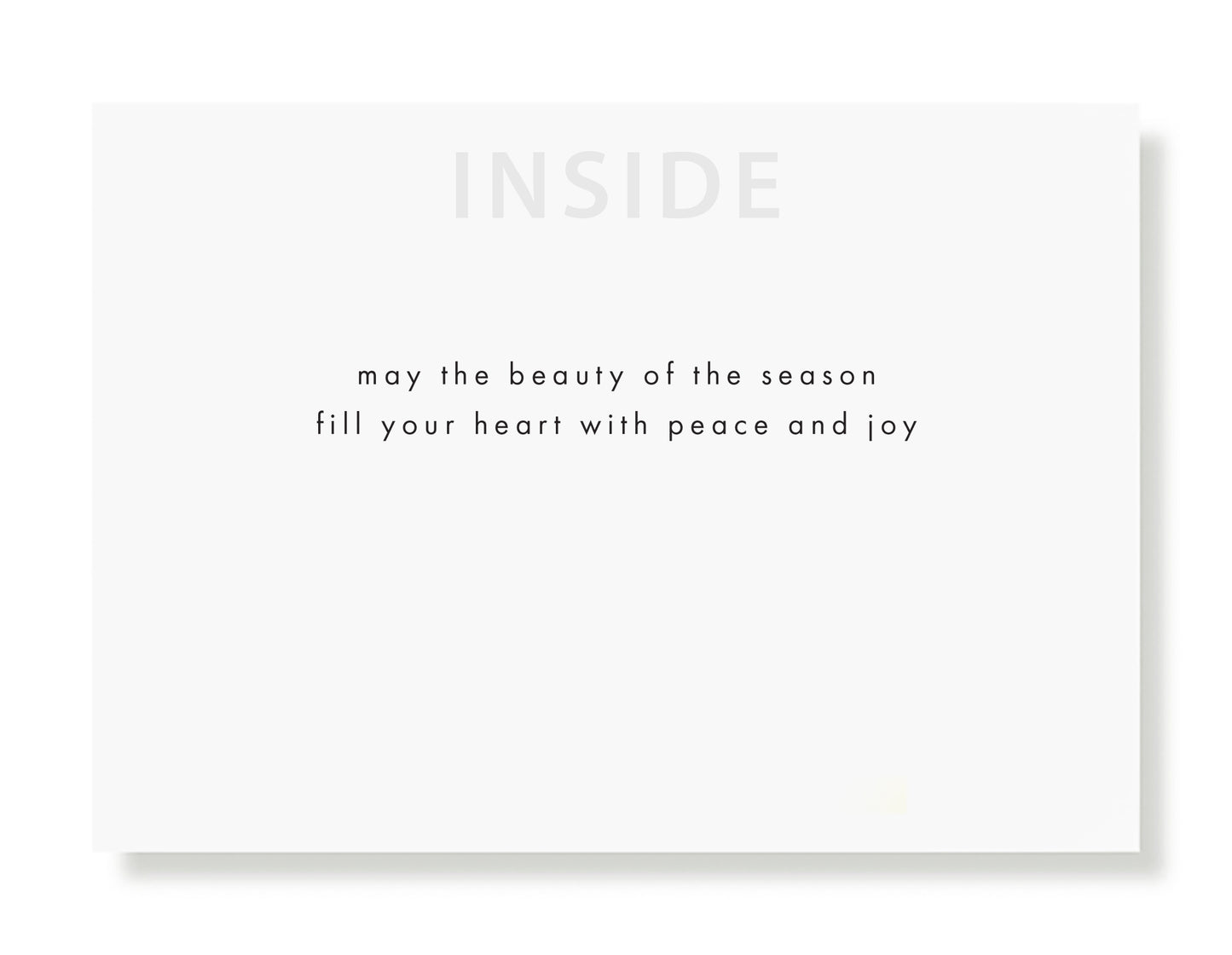 American Bison Greeting Card - Holiday 10 Pack