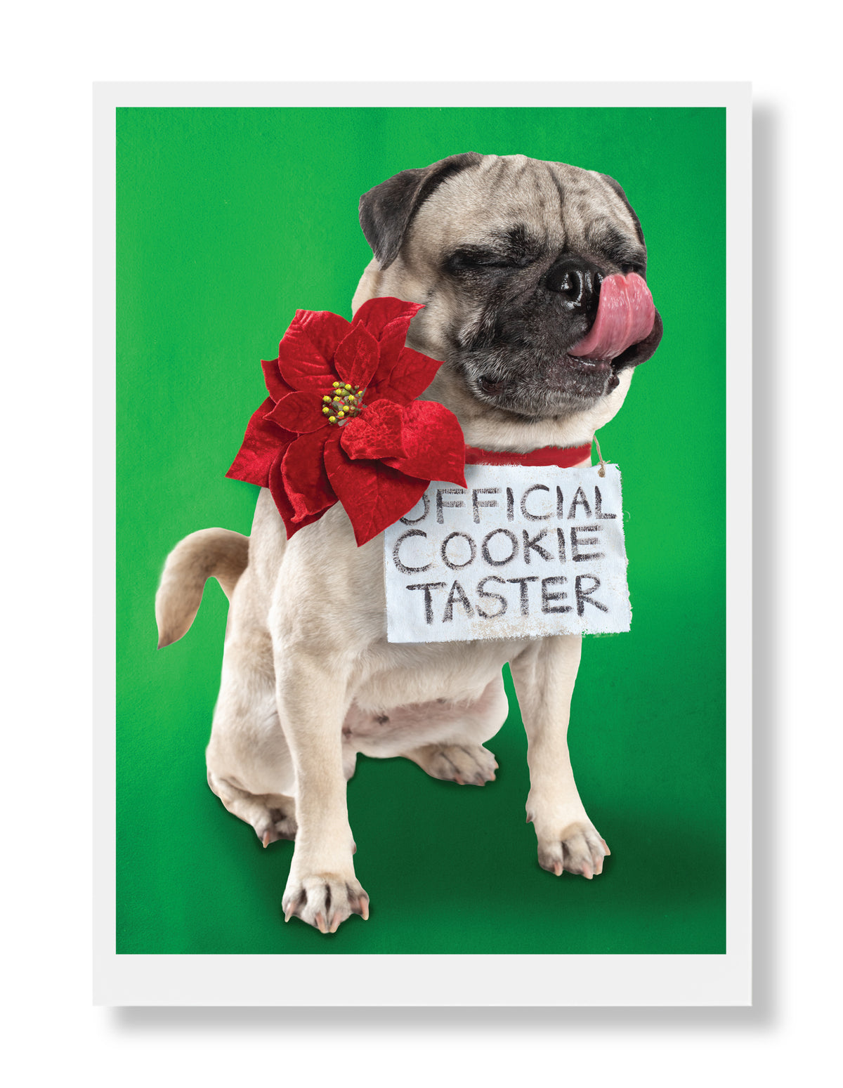 Kira Holiday Greeting Card