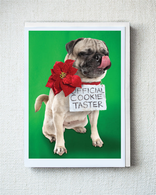Kira Greeting Card - Holiday 10 Pack