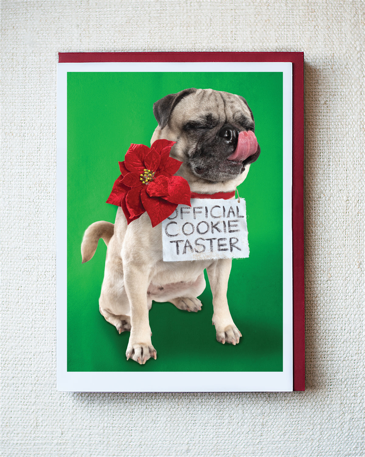 Kira Greeting Card - Holiday 10 Pack