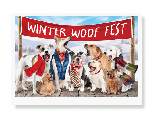 Tucker, Archie, Thor...Holiday Greeting Card