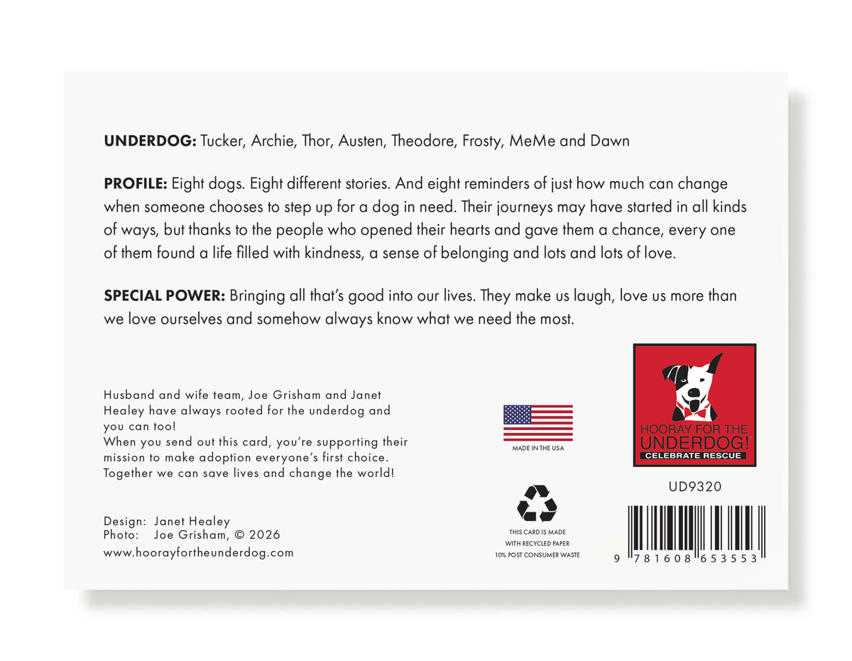 Tucker, Archie, Thor...Holiday Greeting Card