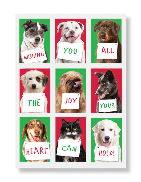 Austen, Peaches, Butch...Holiday Greeting Card