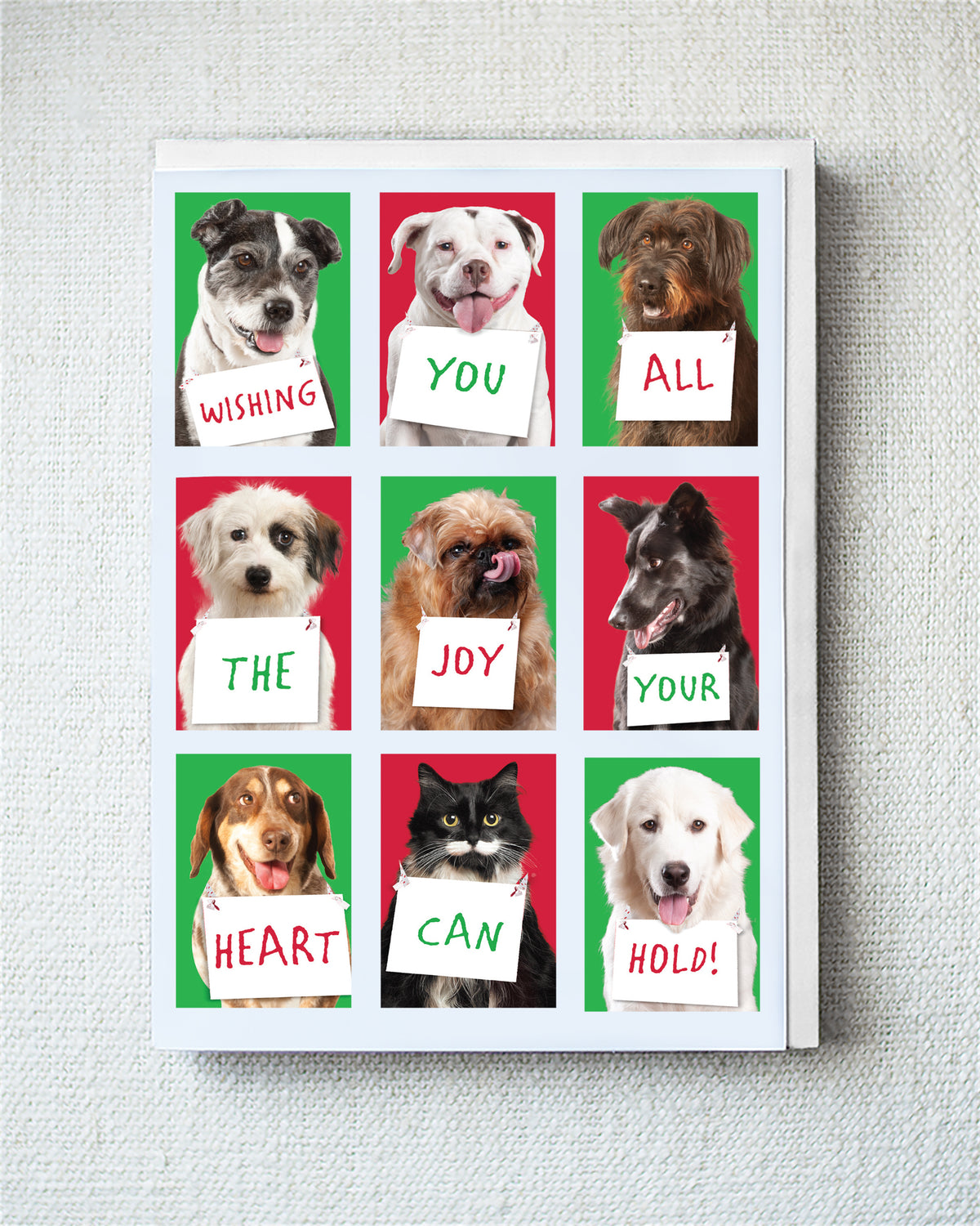 Austen, Peaches, Butch...Holiday Greeting Card