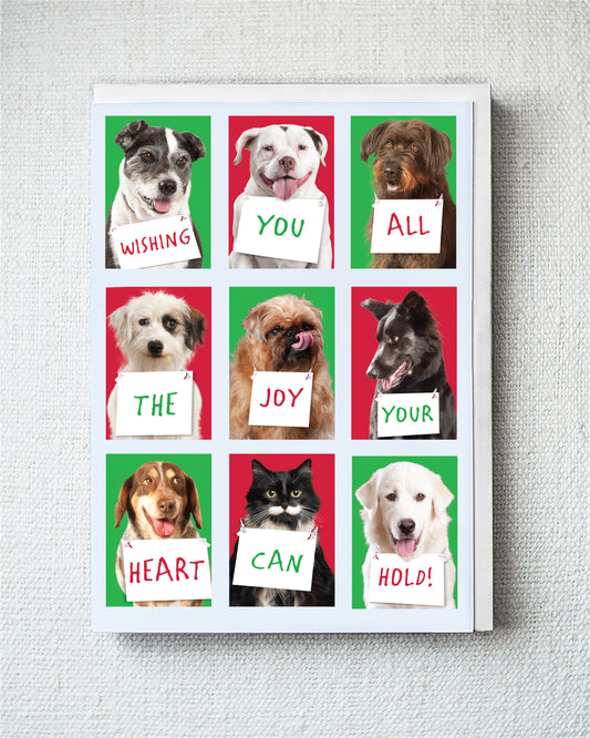 Austen, Peaches, Butch...Greeting Card - Holiday 10 Pack