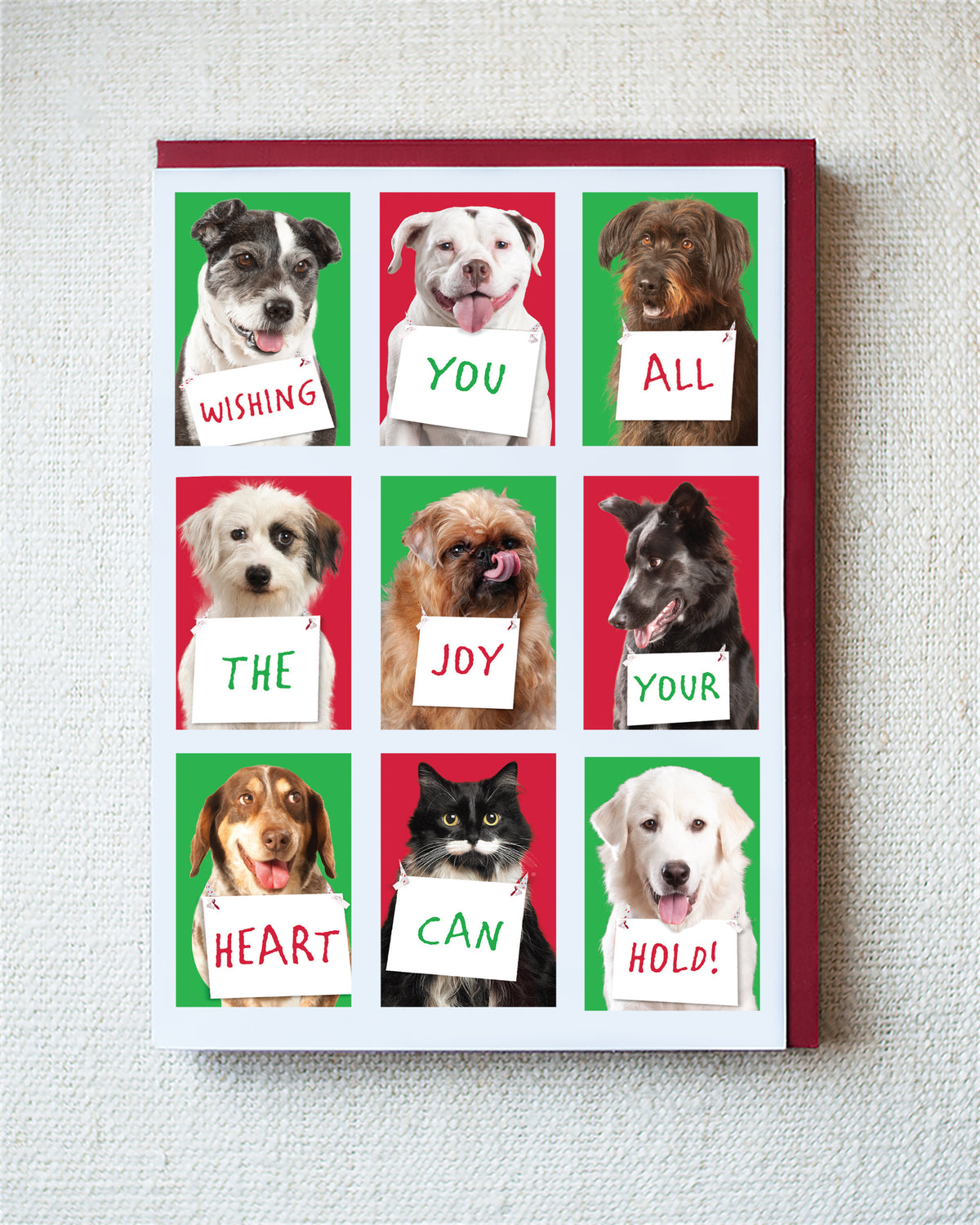 Austen, Peaches, Butch...Holiday Greeting Card