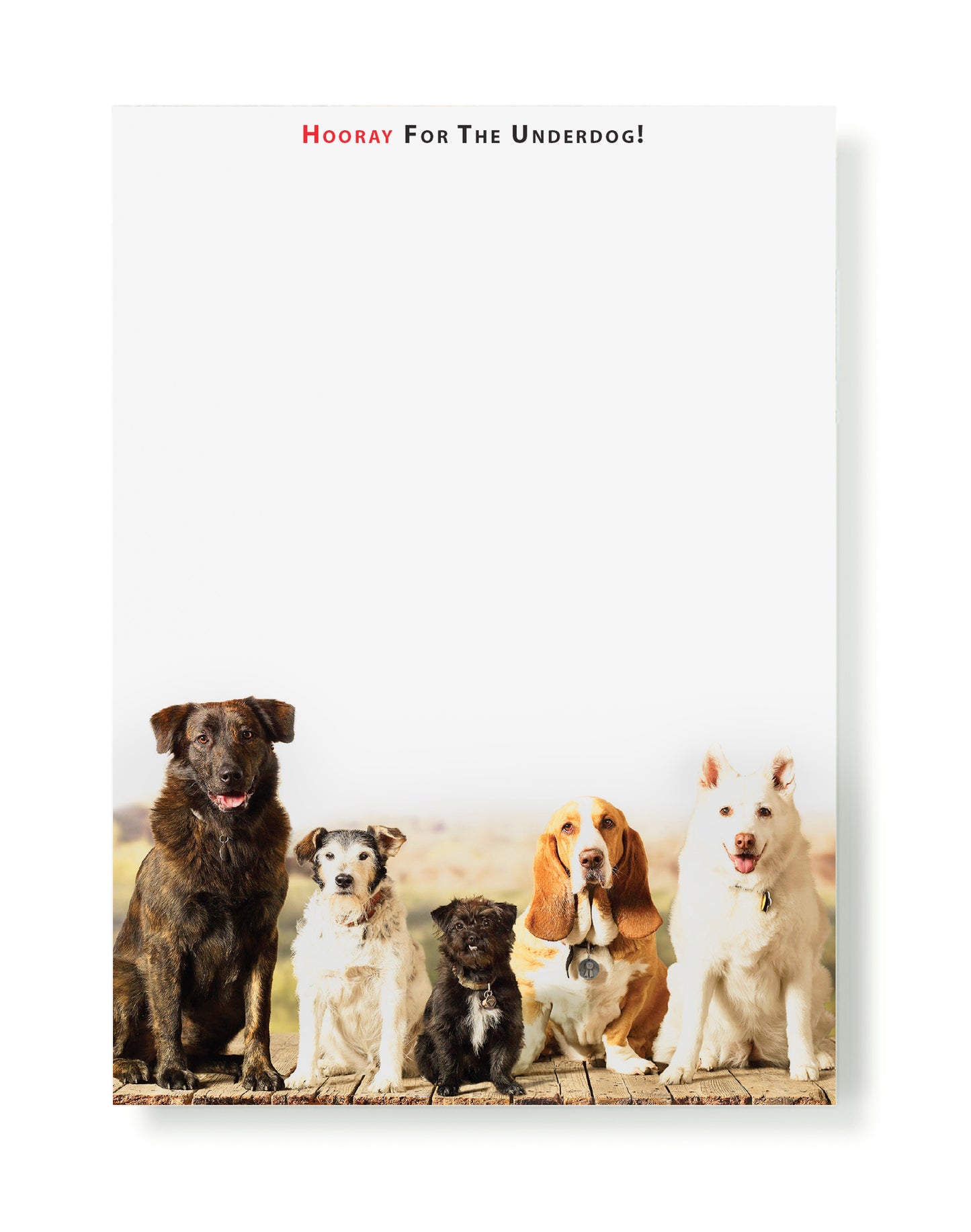 Mutts Notepad