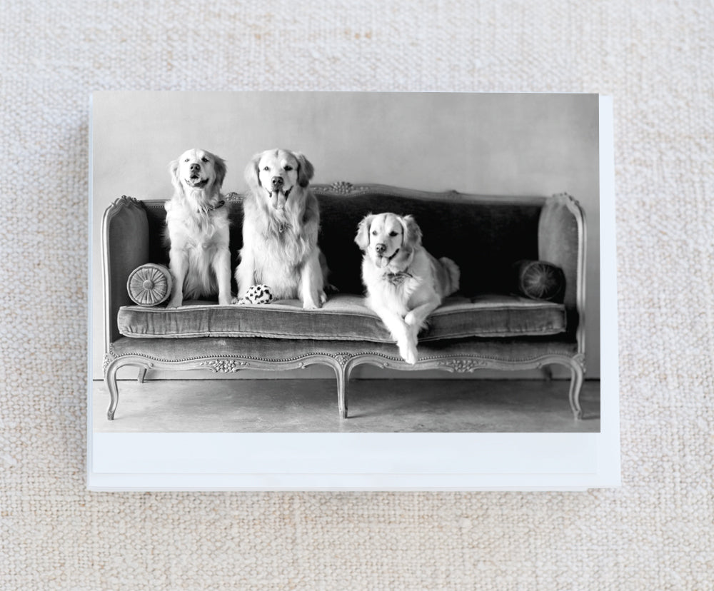 Jolie, Lucas and Tonka Note Card Set