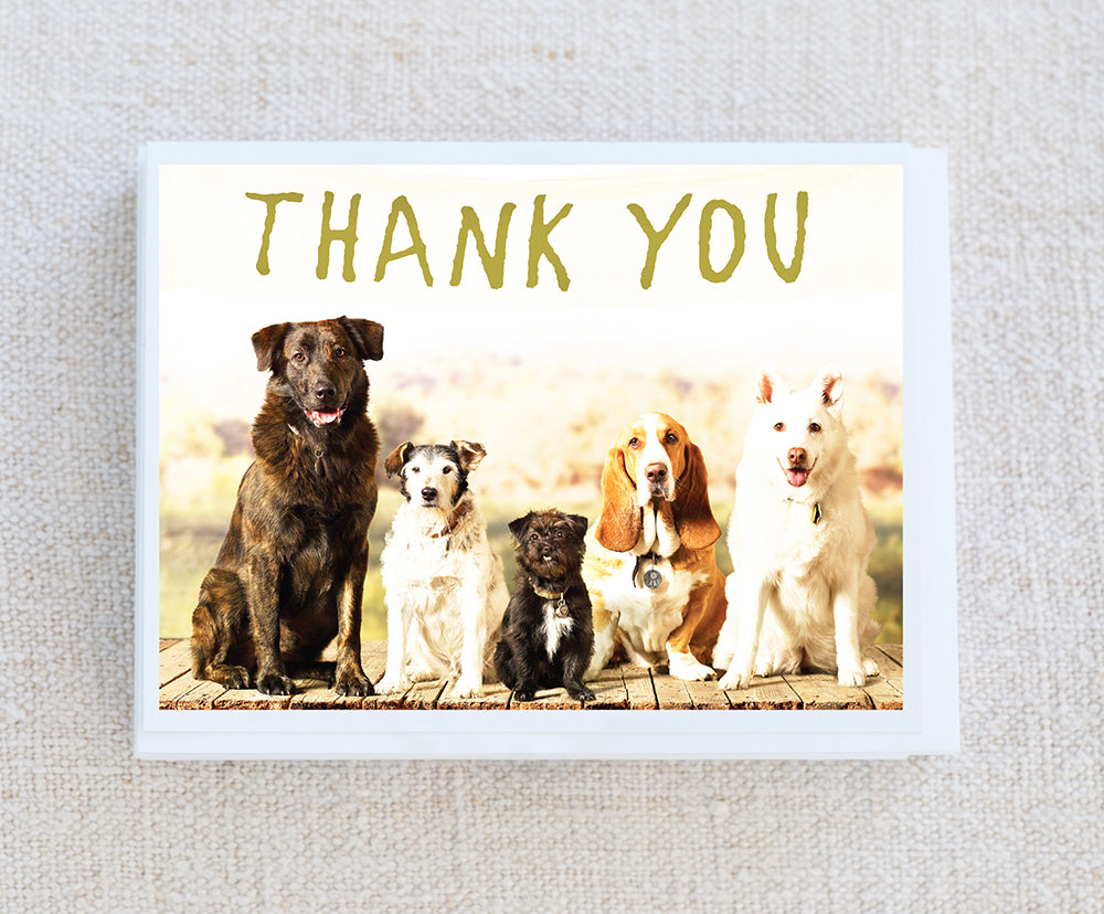 Douglas, Duncan, Pip...Thank You Note Card Set