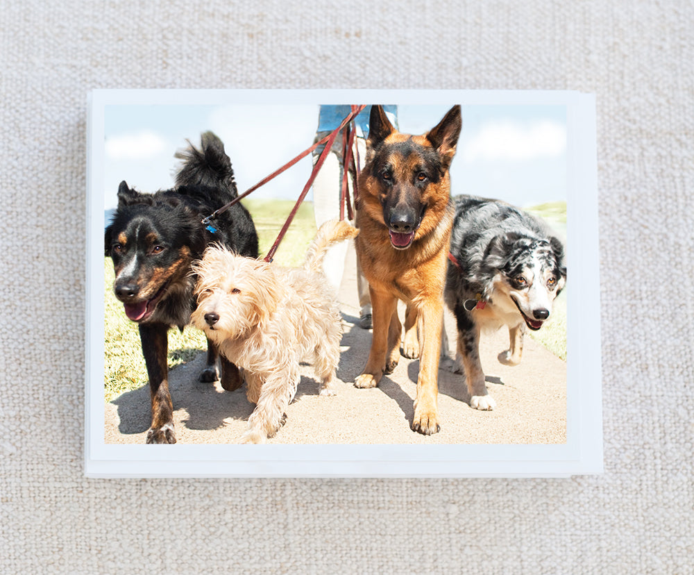 Sam, Murphy, Nitro and Zeus Note Card Set