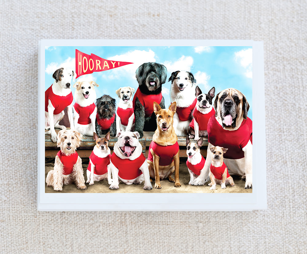 Team Strut Your Mutt Note Card Set