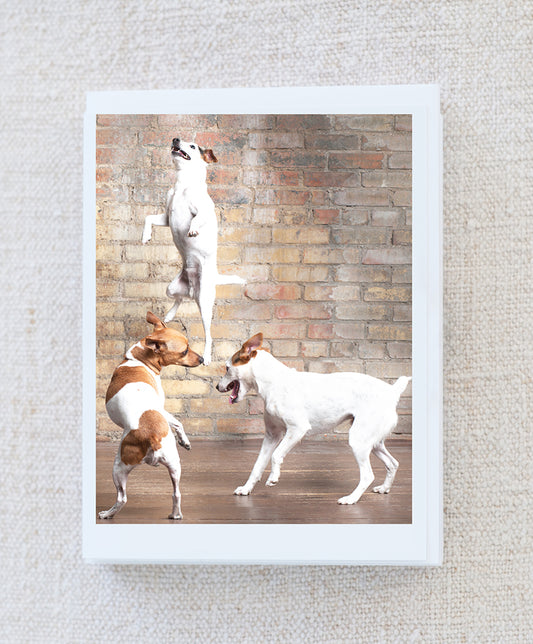 Howie, Simon and Woody Note Card Set