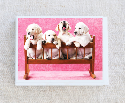 Lab Puppies Valentine Note Card Set