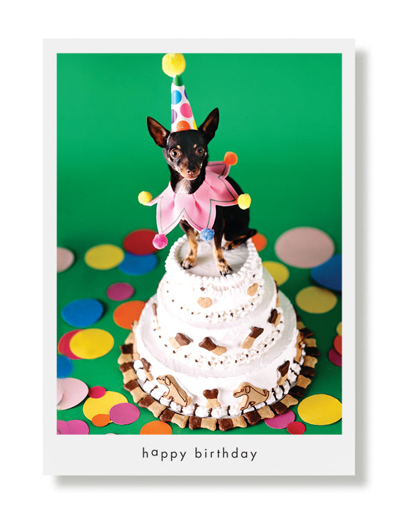 Spike On Birthday Cake Greeting Card