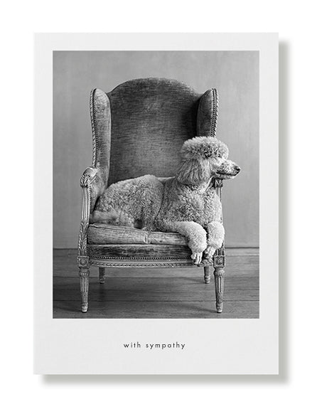 Buddy Sympathy Greeting Card