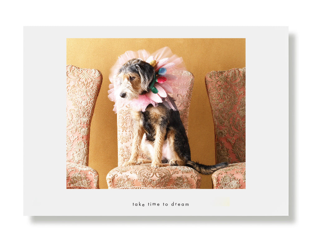 Paden Greeting Card