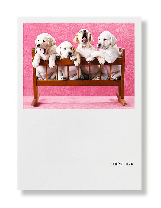 Labrador Puppies Greeting Card