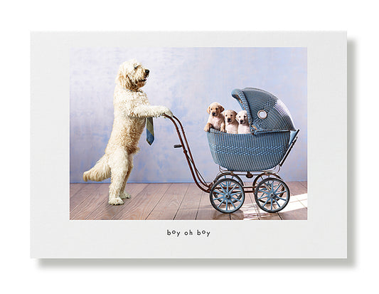 Sultan And Puppies Greeting Card