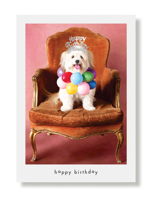 Wiley Birthday Greeting Card