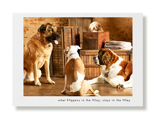 Wally, Asia, Pookie and Whiskey Greeting Card
