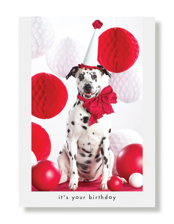 Laney Birthday Greeting Card