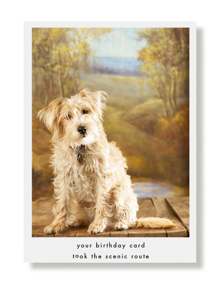 Murphy, Scenic Route Birthday Greeting Card