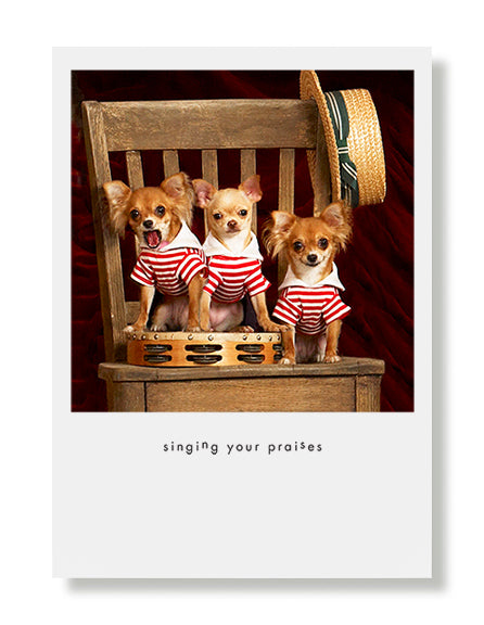 Three Amigos Greeting Card