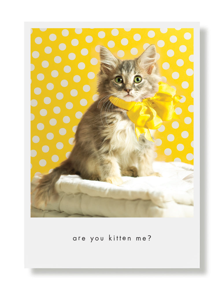Bella, Kitten Birthday Greeting Card