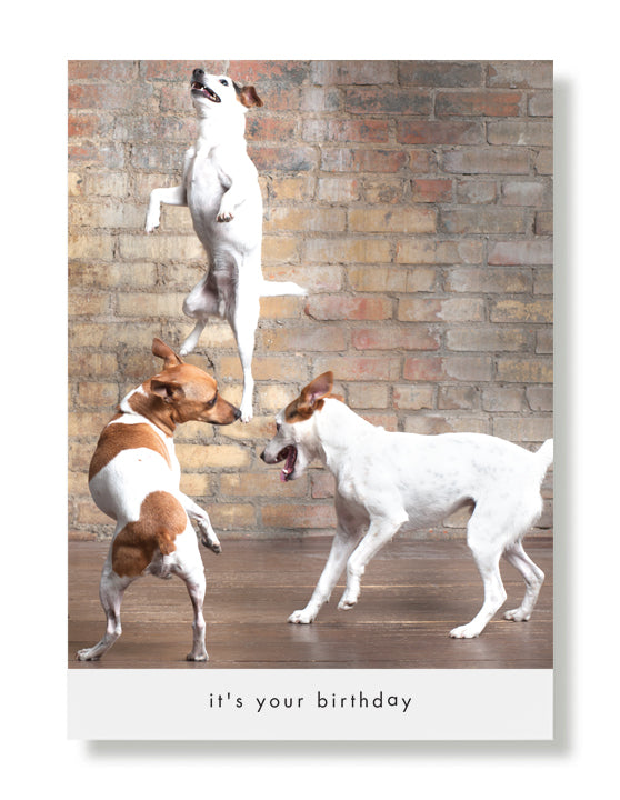Howie, Simon and Woody Birthday Greeting Card
