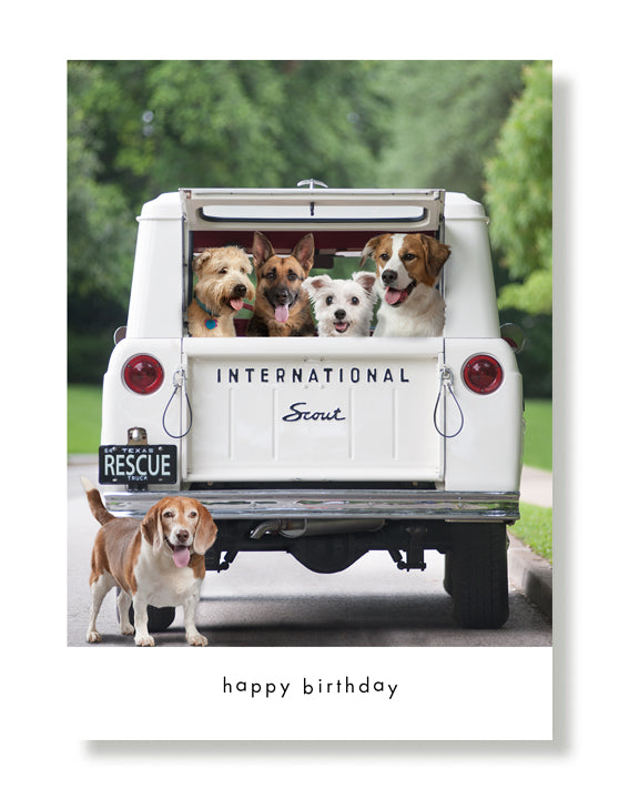 Dogs In Scout Birthday Greeting Card