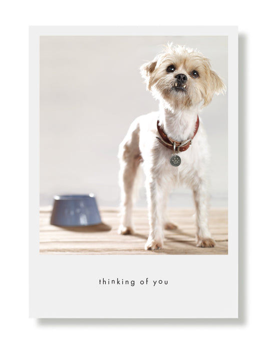 Chase Greeting Card