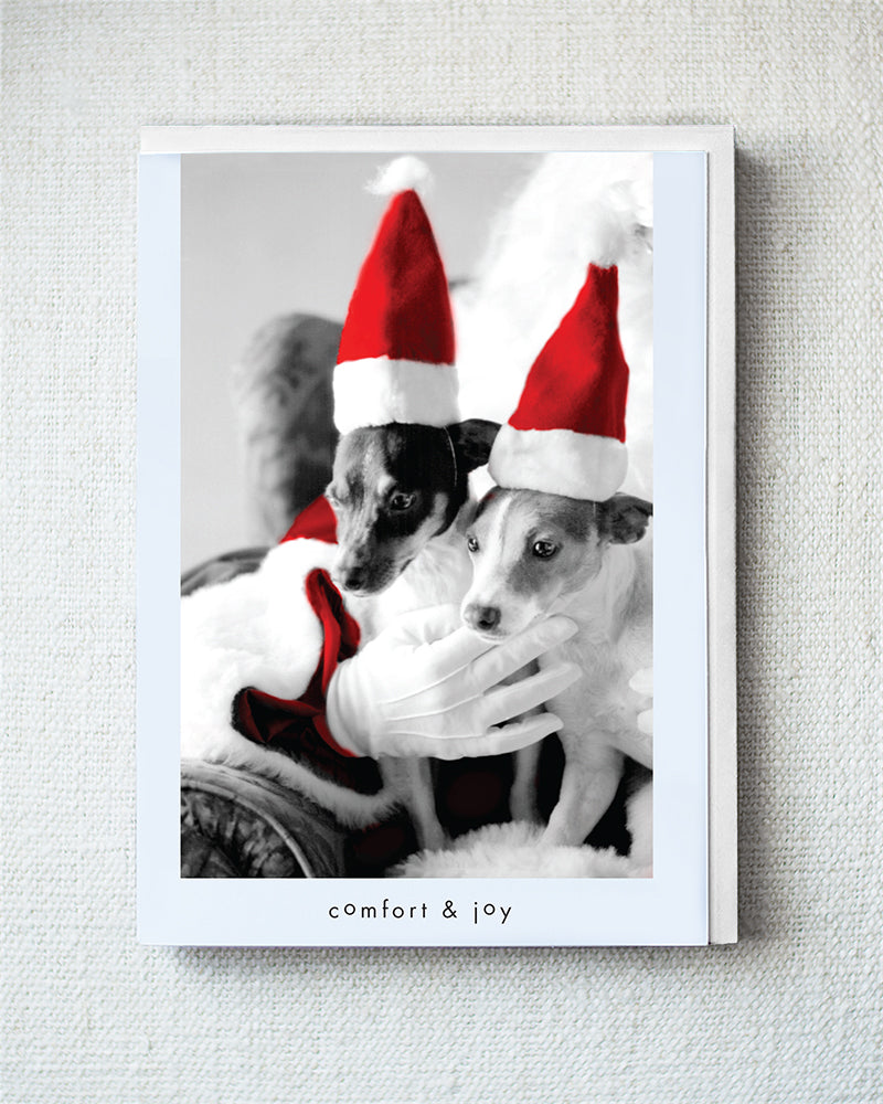 George and Gracie Greeting Card - Holiday 10 Pack