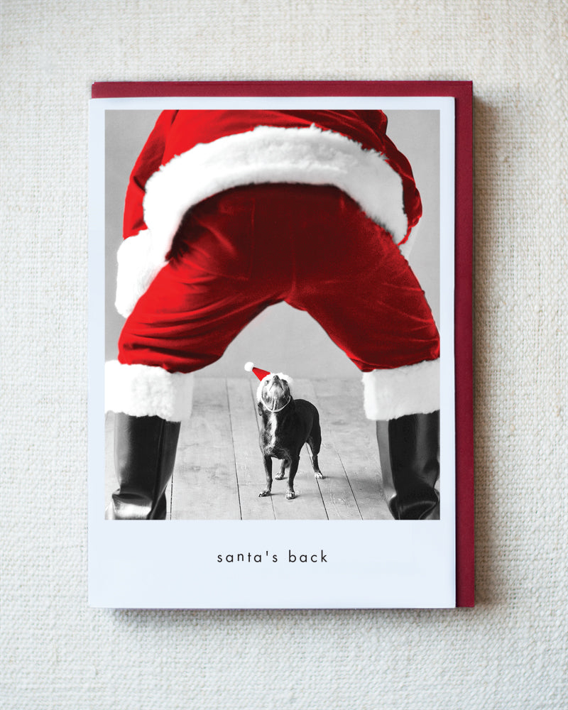 Cha-Cha Greeting Card - Holiday 10 Pack