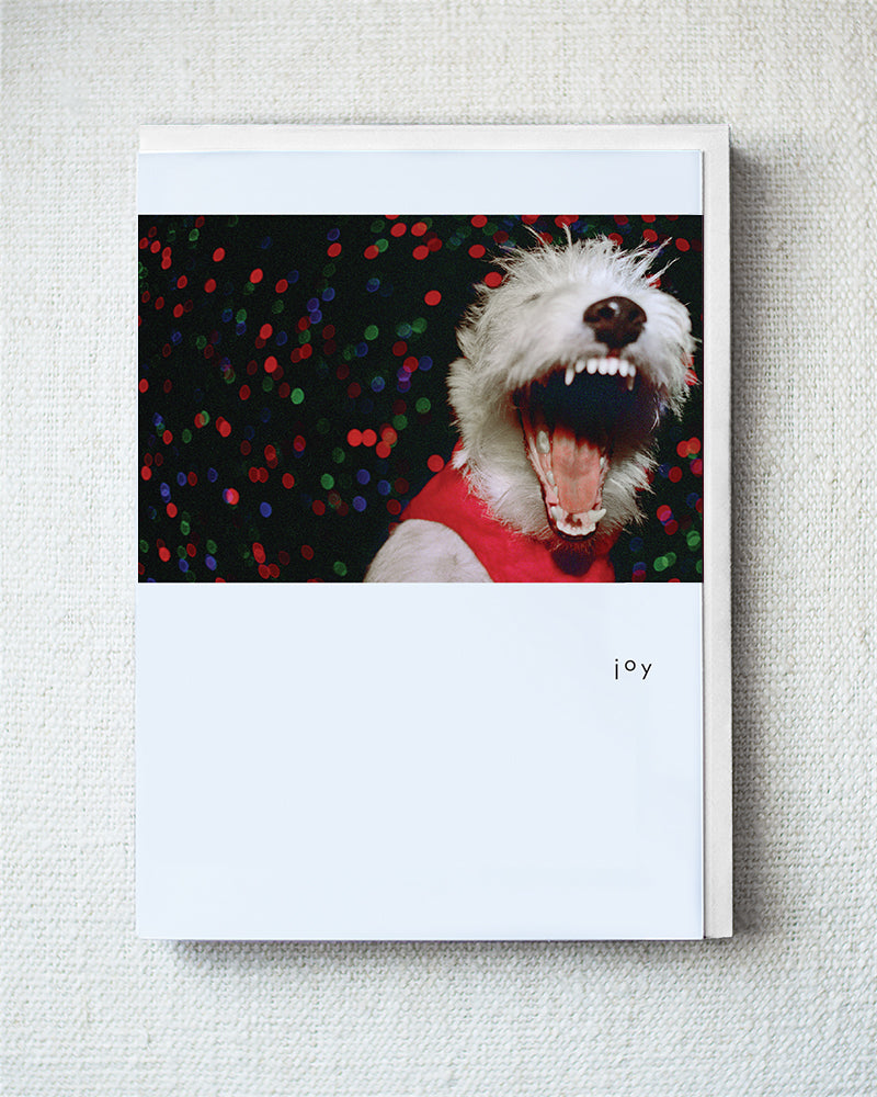 Buster Joy Greeting Card - Holiday 10 Pack