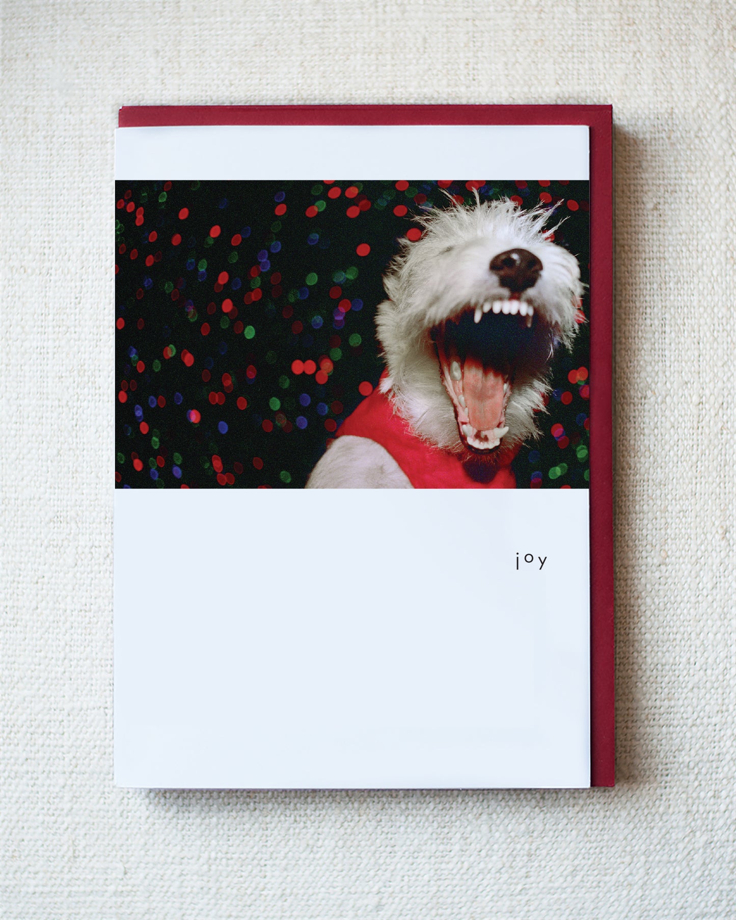 Buster Joy Greeting Card - Holiday 10 Pack