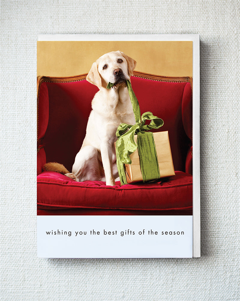 Rookie Wishing Greeting Card - Holiday 10 Pack