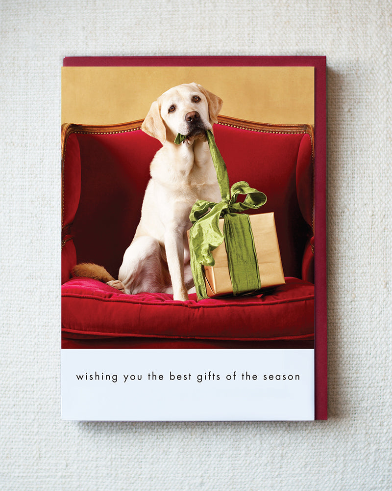 Rookie Wishing Greeting Card - Holiday 10 Pack