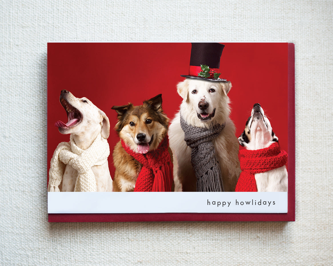 Freckles, Corey, Harvey and Olive Greeting Card - Holiday 10 Pack