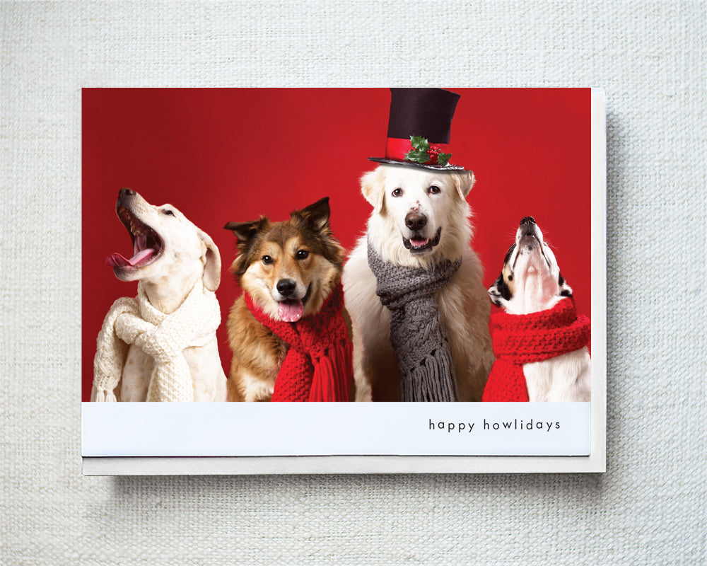 Freckles, Corey, Harvey and Olive Greeting Card - Holiday 10 Pack