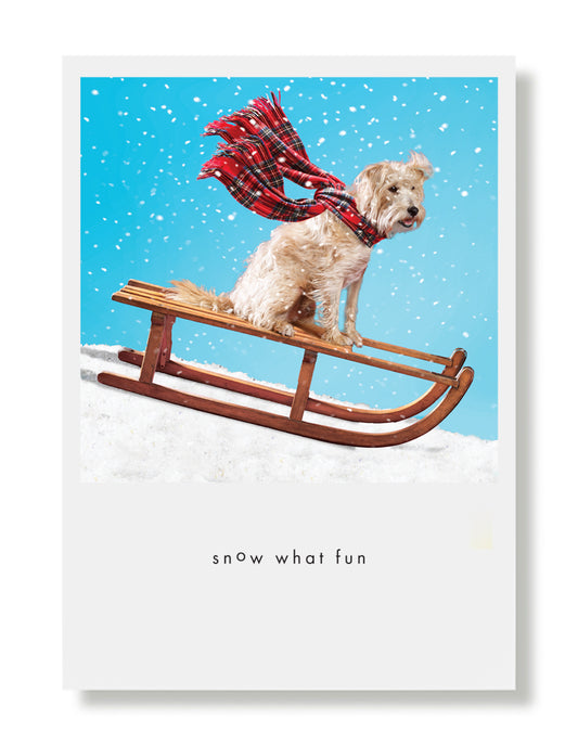 Murphy On Sled Greeting Card